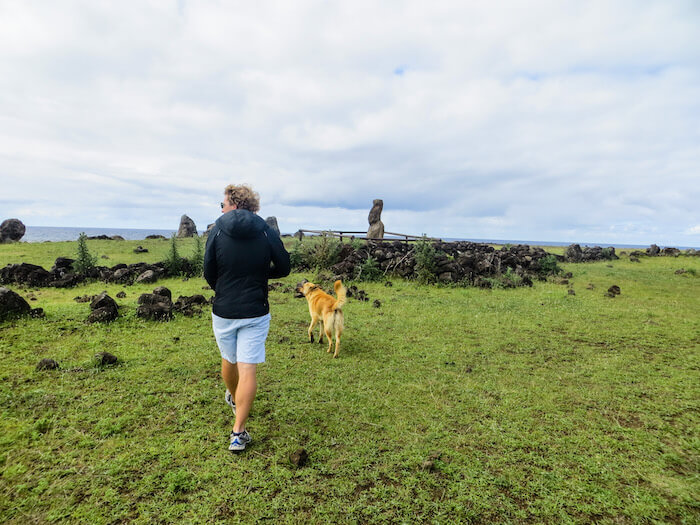 Things to Do on Easter Island (Rapa Nui) in Three Mysterious Days • Travel on the Reg Walking with a dog on windswept Easter Island