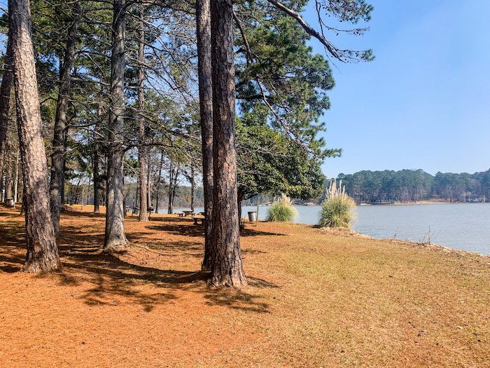 A view through the trees of Lake Oconee, Georgia