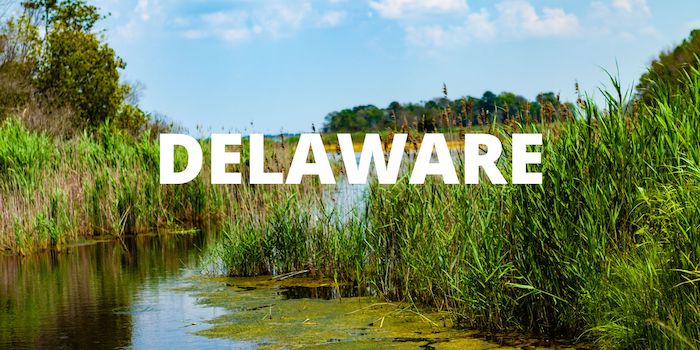 Delaware feature photo