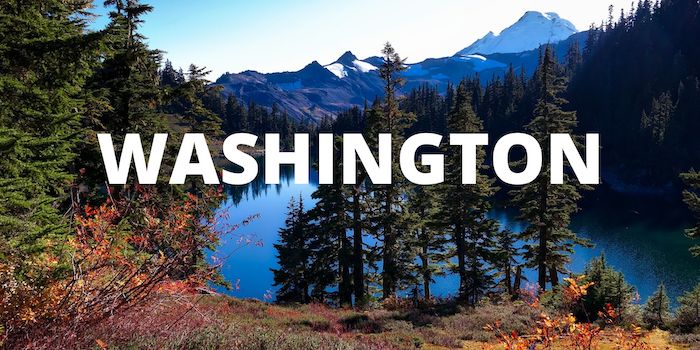 Washington feature with forest in the background
