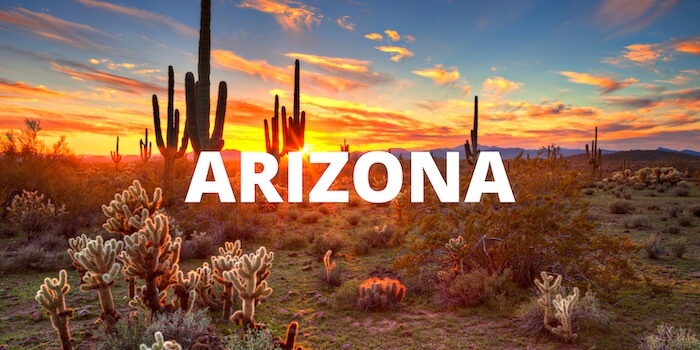 Feature photo for Arizona, with cacti in the background