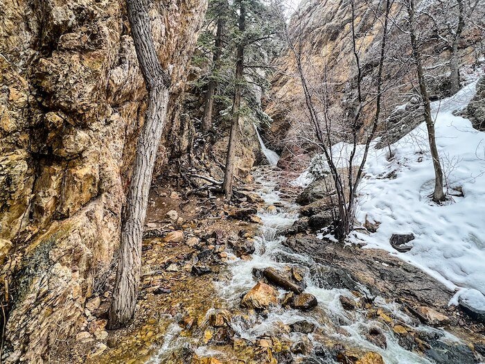 Hidden Falls in the winter