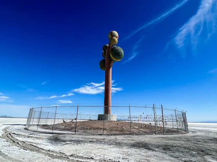 The Tree of Life against a bright blue sky