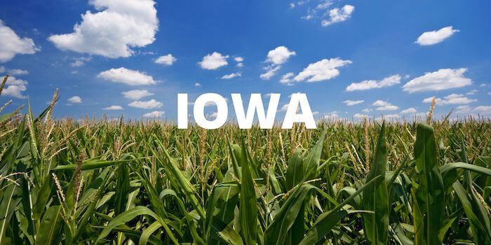 An image of a corn field with IOWA in large type