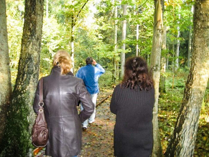 A family walks through the forest in Poland.