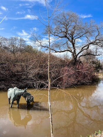 A sculpture of a moose in a pond at the Red Butte Garden in Salt Lake City