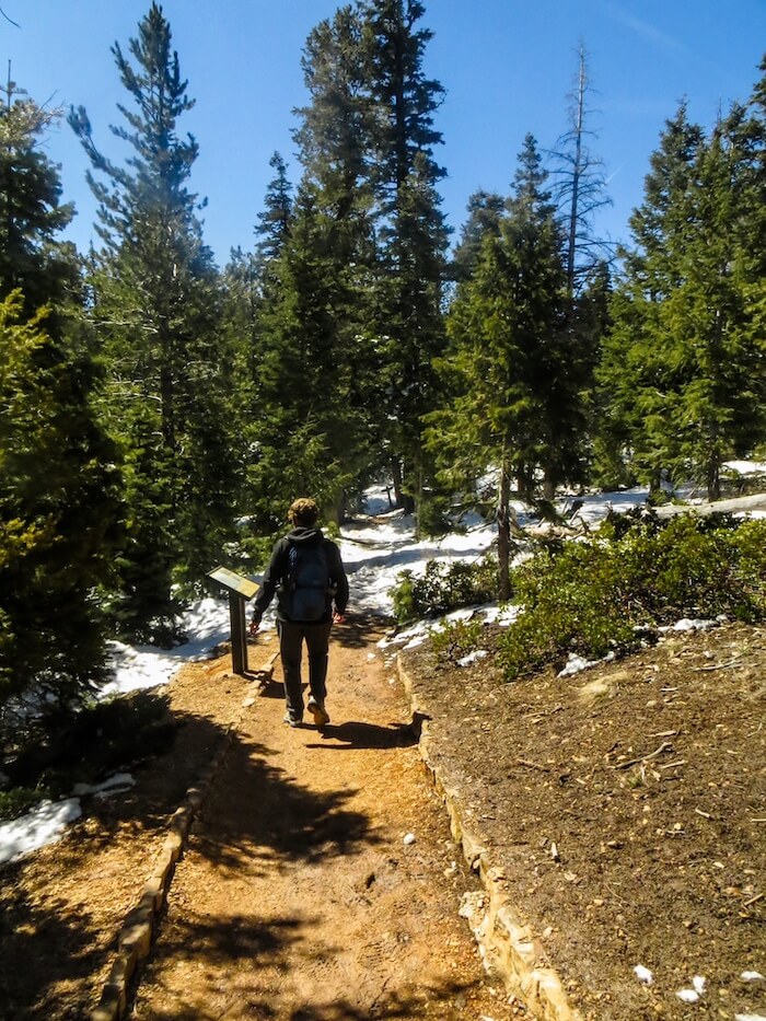 A man walks a loop trail in Bryce Canyon National Park.