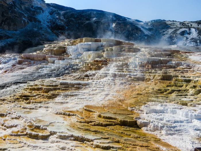 The steamy Minerva Terrace in Yellowstone