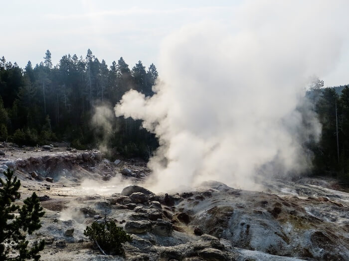 The Norris Geyser Basin in Yellowstone