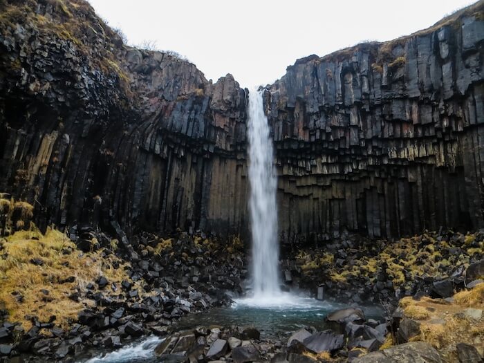 Svartifoss with its black columns 