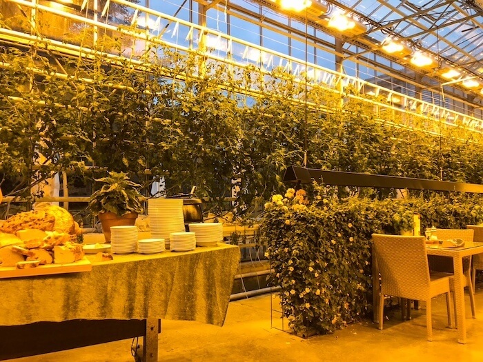 Friðheimar, a tomato farm and eatery