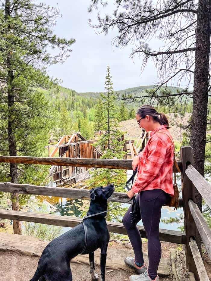A woman looks at her dog on a hike.