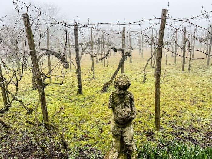 An angel sculpture in Torcello with fog draping the vineyard it sits in