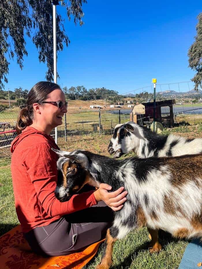 A woman laughs while surrounded by goats at a goat yoga event in Ramona, California.