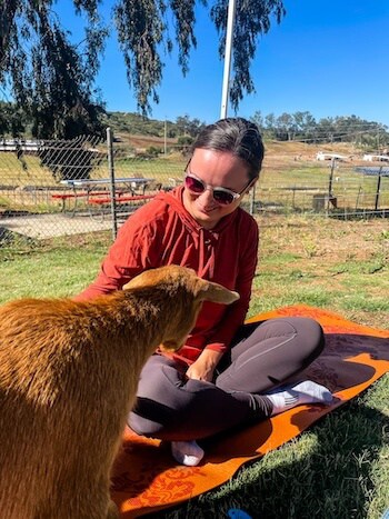 A woman meets a brown goat at a goat yoga session.