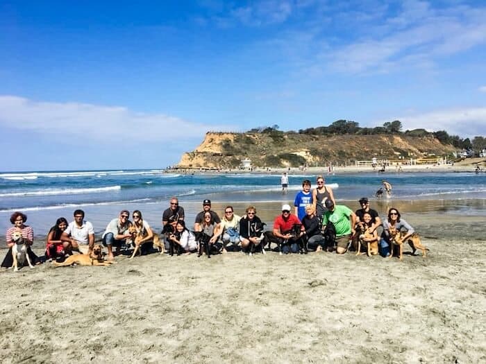 Dogs pose with their owners in Del Mar at a dog family reunion.