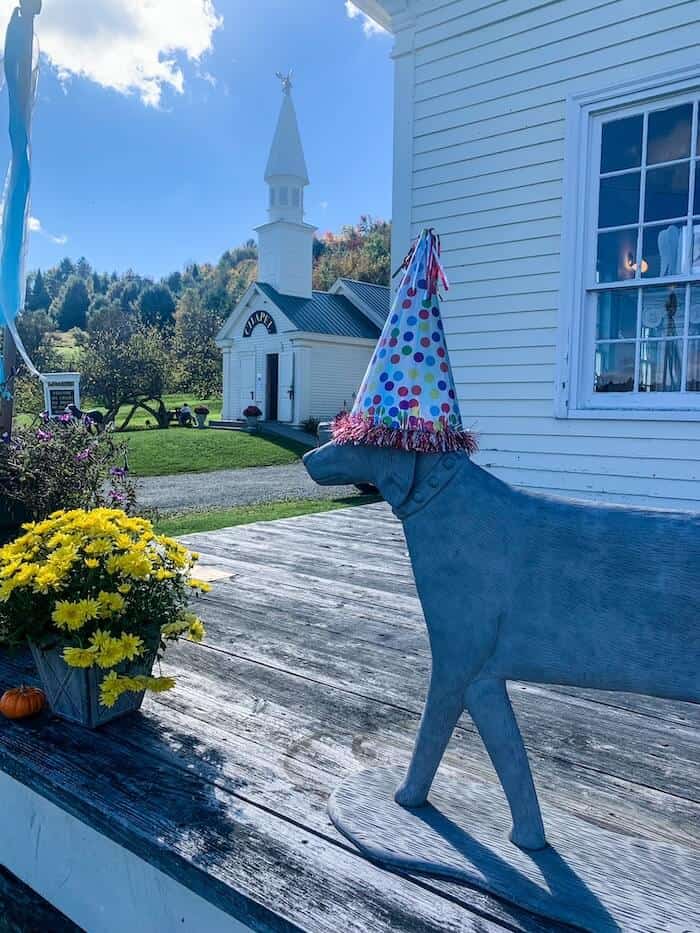 A dog in a party hat at Dog Mountain in Vermont