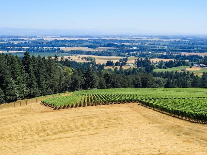 The grounds at a winery in Oregon