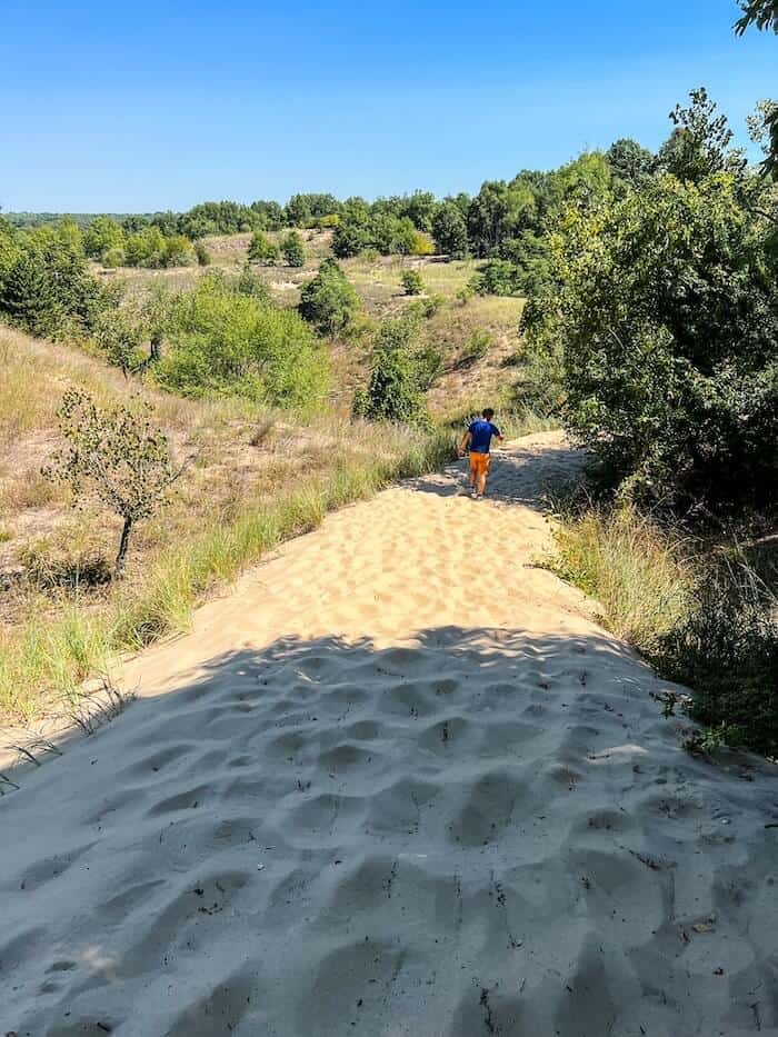 A man climbs down the sand in Saugatuck, Michigan.