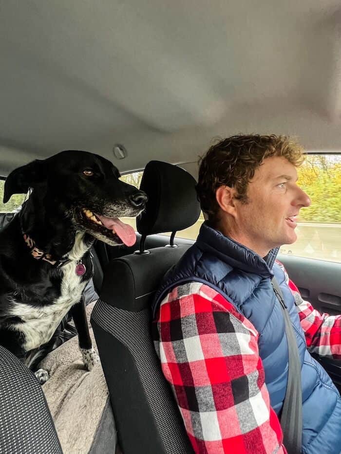 A man and his dog on a road trip