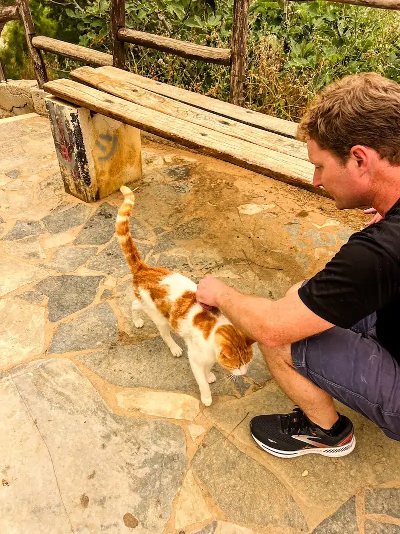 A man pets a cat in Crete.