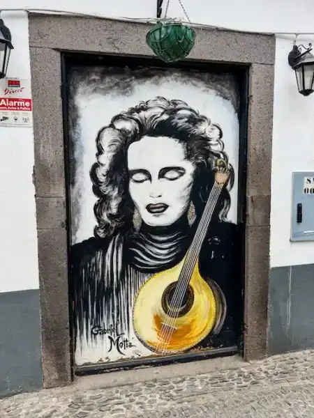 A mural on a door in Funchal, Madeira