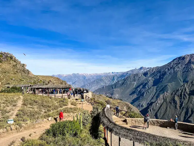 Is Colca Canyon Worth It? What to Know Before You Go