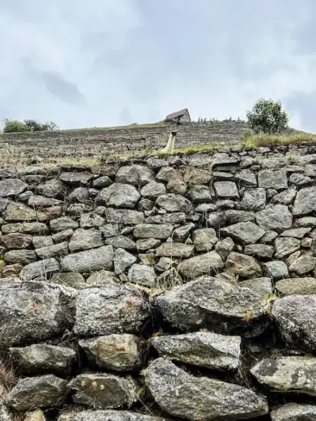 A hiding llama at Machu Picchu