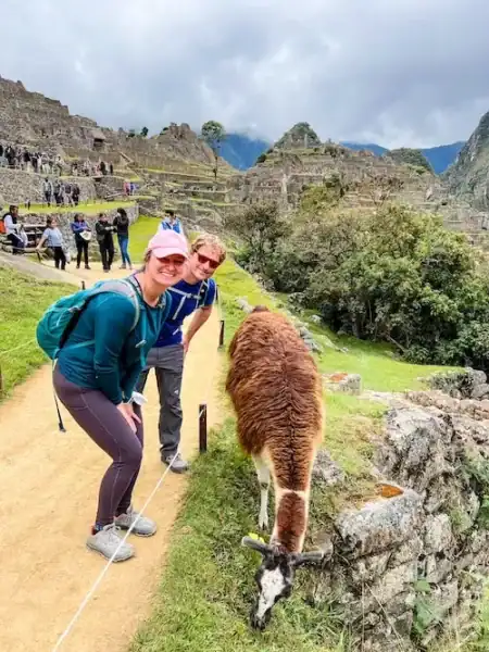 A couple poses with a llama at Machu Picchu.