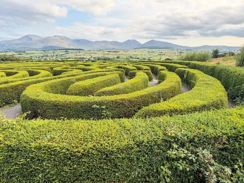 A hedge maze in Northern Ireland